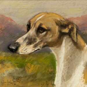 Watercolour Vintage of Greyhound signed Julie Scott