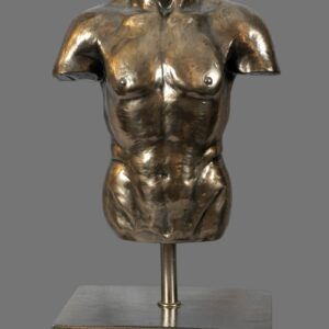 Male Torso, Bronzed/Silvered,  antique style, contemporary, on base