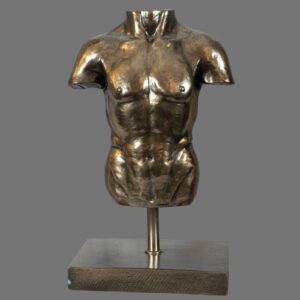 Male Torso, Bronzed/Silvered,  antique style, contemporary, on base