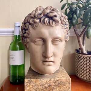 Cast Bust of a Classical Roman Youth -Vintage made by British Museum, London